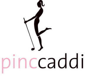 PINCCADDI logo