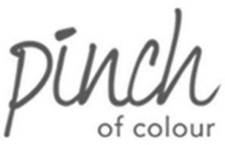 PINCH OF COLOUR logo