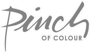 PINCH OF COLOUR logo