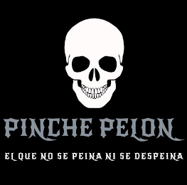PINCHE PELON EL QUE NO SE PEINA NI SE DESPEINA logo