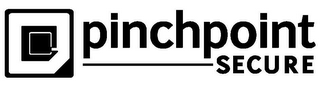 PINCHPOINT SECURE logo