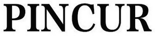 PINCUR logo