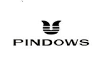 PINDOWS logo