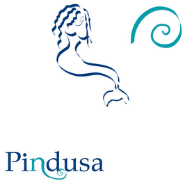 PINDUSA logo
