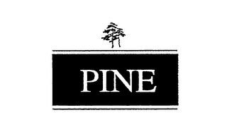 PINE logo