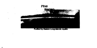 PINE BARREN WATER logo