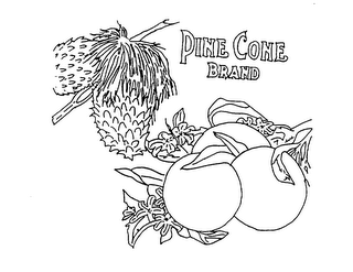 PINE CONE BRAND logo