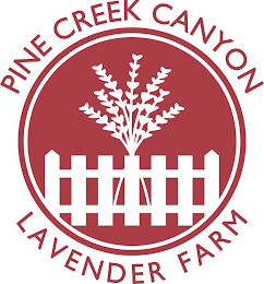 PINE CREEK CANYON LAVENDER FARM logo