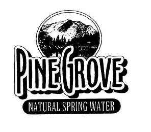 PINE GROVE NATURAL SPRING WATER logo
