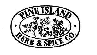 PINE ISLAND HERB & SPICE CO. logo