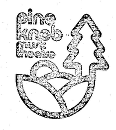 PINE KNOB MUSIC THEATRE logo