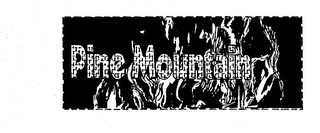 PINE MOUNTAIN logo