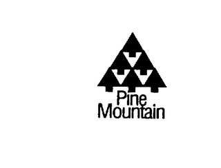 PINE MOUNTAIN logo