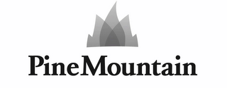 PINE MOUNTAIN logo