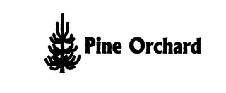 PINE ORCHARD logo
