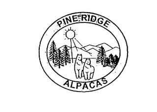 PINE RIDGE ALPACAS logo