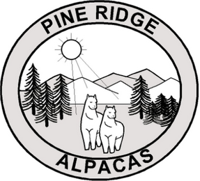 PINE RIDGE ALPACAS logo
