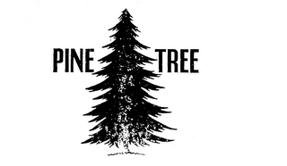 PINE TREE logo