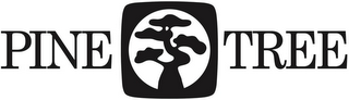 PINE TREE logo
