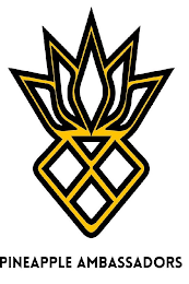 PINEAPPLE AMBASSADORS logo