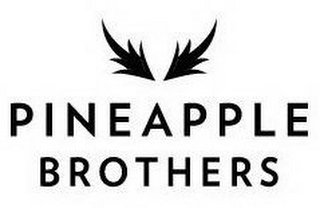 PINEAPPLE BROTHERS logo