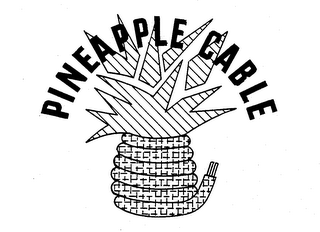 PINEAPPLE CABLE logo
