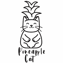 PINEAPPLE CAT logo