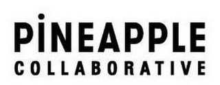 PINEAPPLE COLLABORATIVE logo