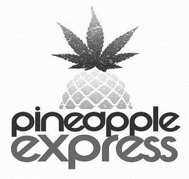 PINEAPPLE EXPRESS logo