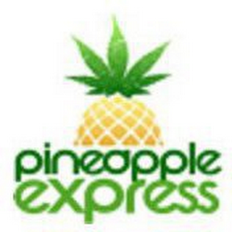 PINEAPPLE EXPRESS logo
