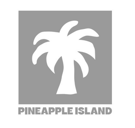 PINEAPPLE ISLAND logo