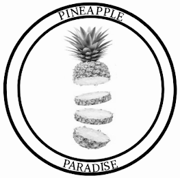 PINEAPPLE PARADISE logo
