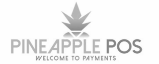 PINEAPPLE POS WELCOME TO PAYMENTS logo
