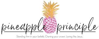 PINEAPPLE PRINCIPLE STANDING FIRM IN YOUR BELIEFS. OWNING YOUR CROWN. LOVING LIKE JESUS. logo