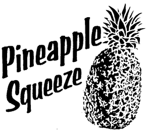 PINEAPPLE SQUEEZE logo