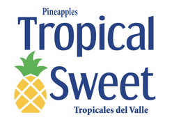 PINEAPPLES TROPICAL SWEET TROPICALES DEL VALLE