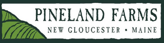 PINELAND FARMS NEW GLOUCESTER · MAINE logo