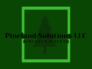 PINELAND SOLUTIONS LLC SERVITIUM SUPER SE logo