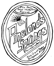 PINELANDS SPRINGS logo