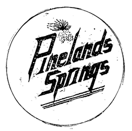 PINELANDS SPRINGS logo