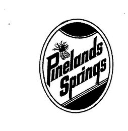 PINELANDS SPRINGS logo