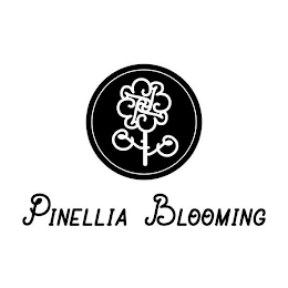 PINELLIA BLOOMING PP logo