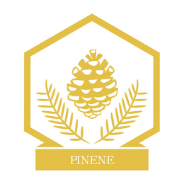 PINENE logo