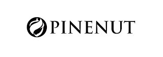PINENUT logo