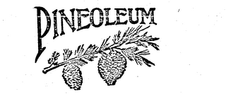 PINEOLEUM logo