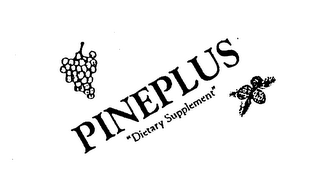 PINEPLUS "DIETARY SUPPLEMENT" logo