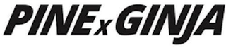PINEXGINJA logo