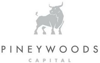 PINEYWOODS CAPITAL logo