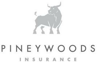 PINEYWOODS INSURANCE logo