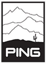 PING logo